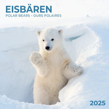 Kalendář 2025 Polar Bears