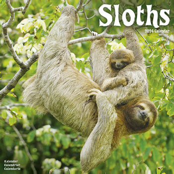 Kalendár 2024 Sloths