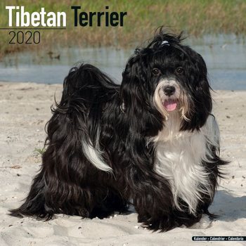 Kalendár 2020  Tibetský Teriér