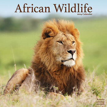 Kalendar 2024 African Wildlife