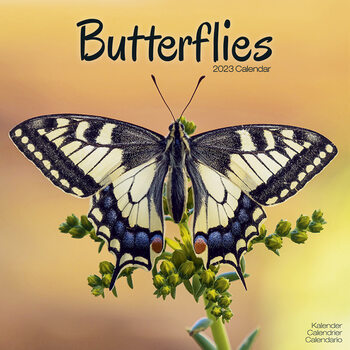 Kalendar 2023 Butterflies