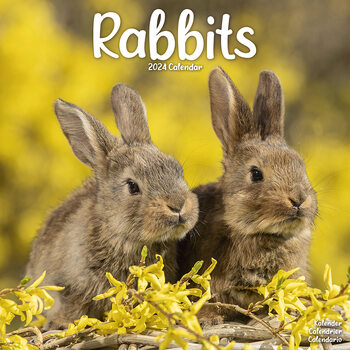 Kalendar 2024 Rabbits