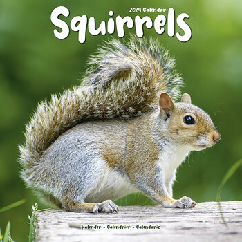 Kalendar 2024 Squirrels