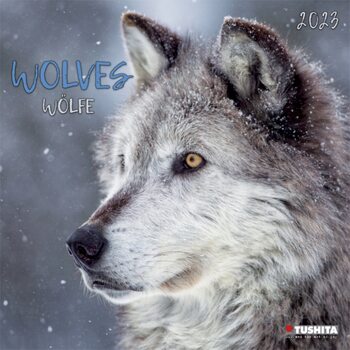 Kalendar 2023 Wolves