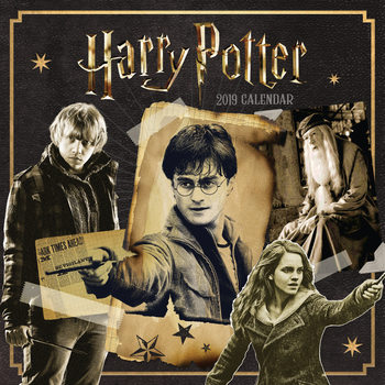 Harry Potter Kalendarz 2019 | Kup na Posters.pl Harry Potter Kalendarz 2019