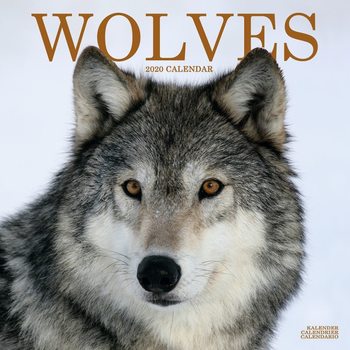 Wolves Kalendarz 2020