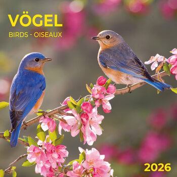 Kalendarz 2027 Birds