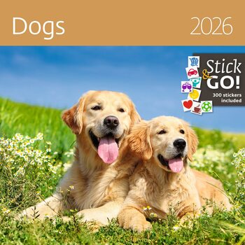 Kalendarz 2027 Dogs