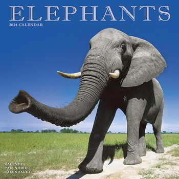 Kalendarz 2027 Elephants