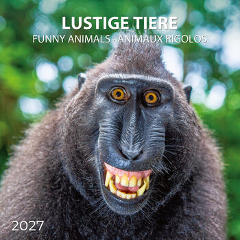 Kalendarz 2027 Funny Animals