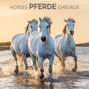 Kalendarz 2027 Horses