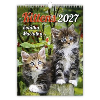 Kalendarz 2027 Kittens