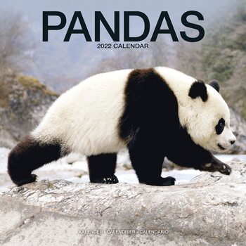 Kalendarz 2027 Pandas