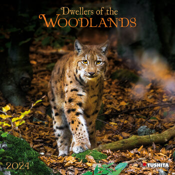 Kalendarz 2024 Woodlands/ Bewohner des Waldes