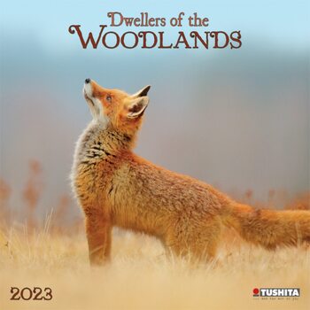 Kalendarz 2023 Woodlands