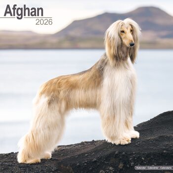 Kalender 2027 Afghan