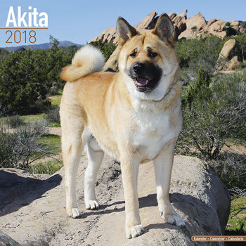 Kalender 2027 Akita