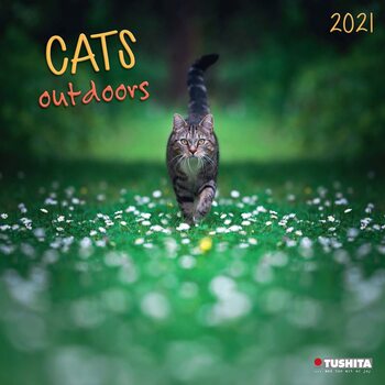 Kalender 2027 Cats Outdoors