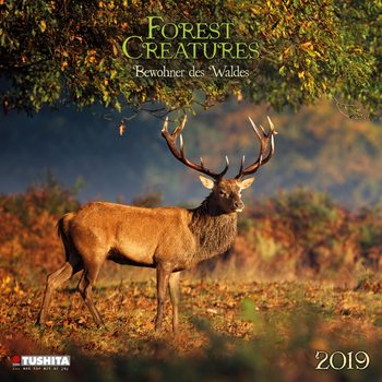 Kalender 2027 Forest Creatures
