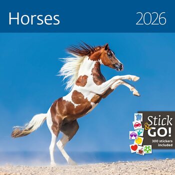 Kalender 2027 Horses