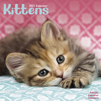 Kalender 2027 Kittens