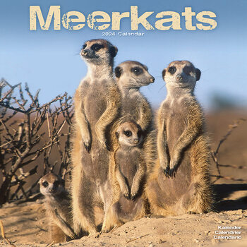 Kalender 2027 Meerkats