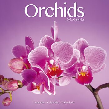 Kalender 2022 Orchids