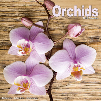 Kalender 2021 Orchids