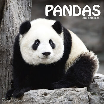 Kalender 2027 Pandas