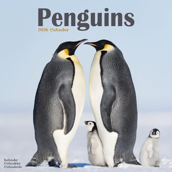 Kalender 2027 Penguins