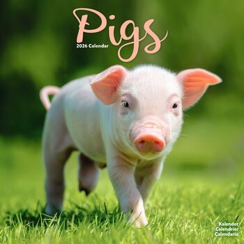 Kalender 2026 Pigs
