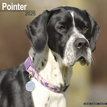 Kalender 2027 Pointer
