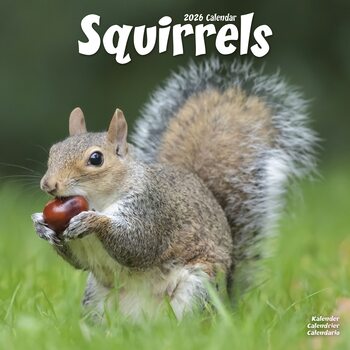 Kalender 2027 Squirrels