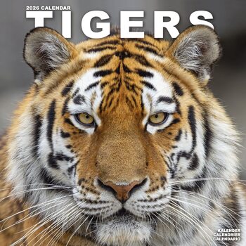 Kalender 2026 Tigers
