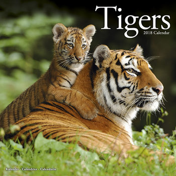 Kalender 2027 Tigers