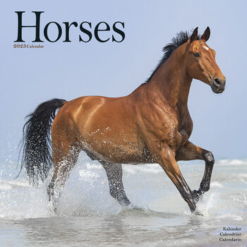 Kalender 2023 Horses
