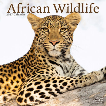 Kalender 2027 Afrikas dyreliv