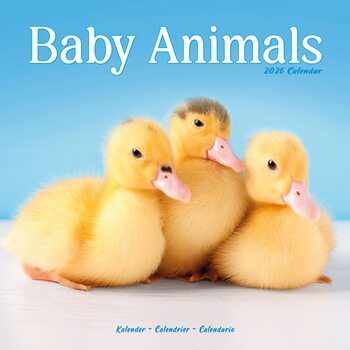 Kalender 2026 Baby Animals