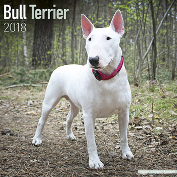 Kalender 2027 Bull Terrier