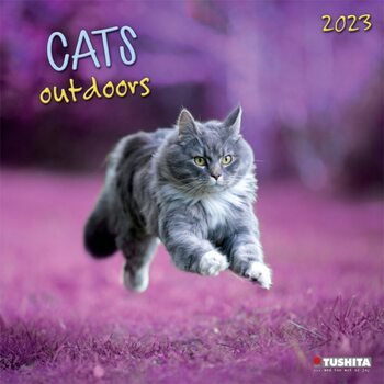 Kalender 2027 Cats Outdoors
