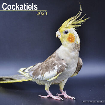 Kalender 2027 Cockatiels