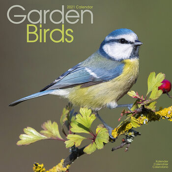 Kalender 2027 Garden Birds