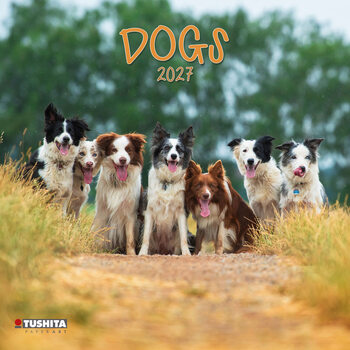 Kalender 2027 Hunde | 16-monatig