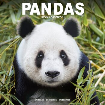 Kalender 2026 Pandas