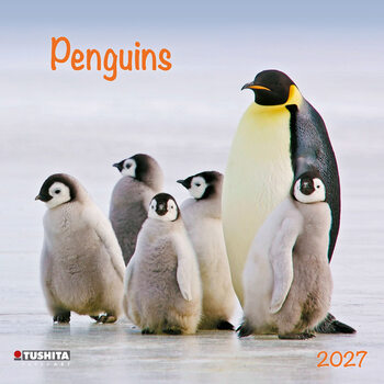 Kalender 2027 Penguins | 16-monatig