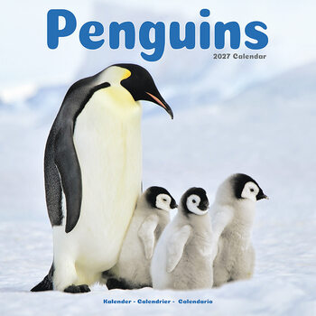 Kalender 2027 Pinguine