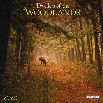Kalender 2027 Woodlands