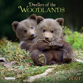 Kalender 2027 Woodlands