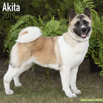 Kalender 2027 Akita
