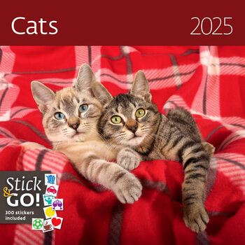 Kalender 2027 Cats